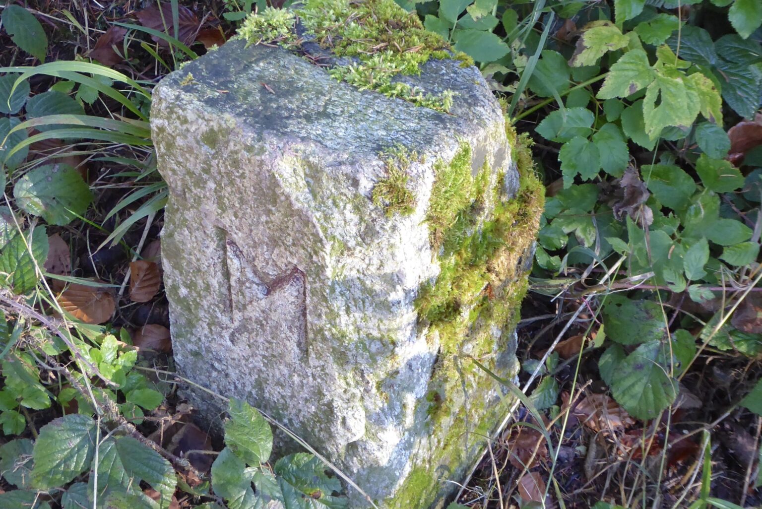 Grenzstein, von der Meilemer Seite her gesehen, leicht verwittert und etwas bemoost. Grenzverlauf oben im Moos gerade noch erahnbar.