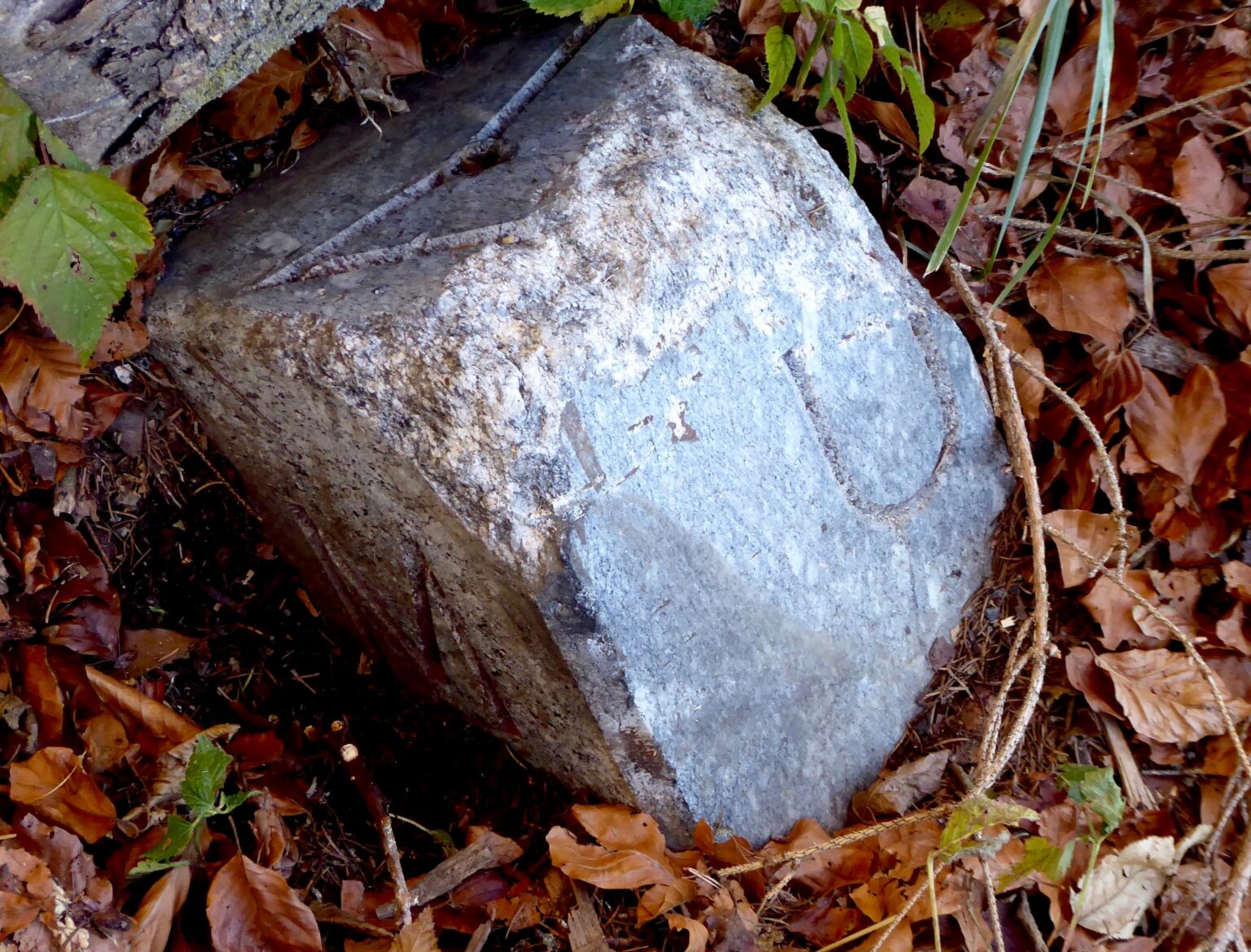 Grenzstein, zugleich von der Meilemer und der Uetiker Seite her gesehen, etwas verwittert und abgesunken, aber mit schön sichtbarer Einritzung des Grenzverlaufs.