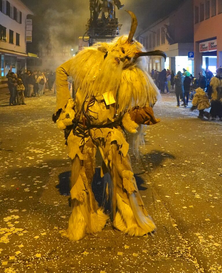 Fasnacht 27_web