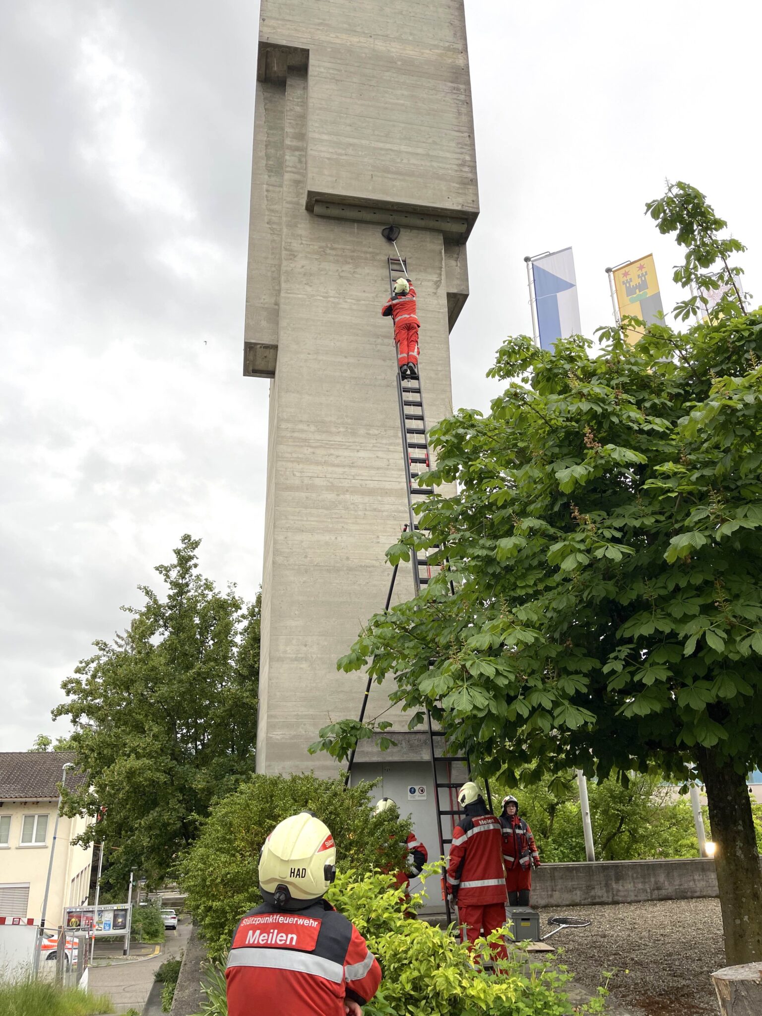 Feuerwehr Mauersegler_web