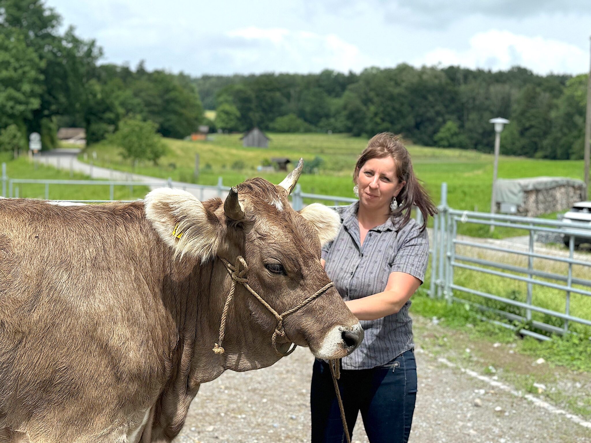 SVP_Anna Bolleter mit Rind Morena_web