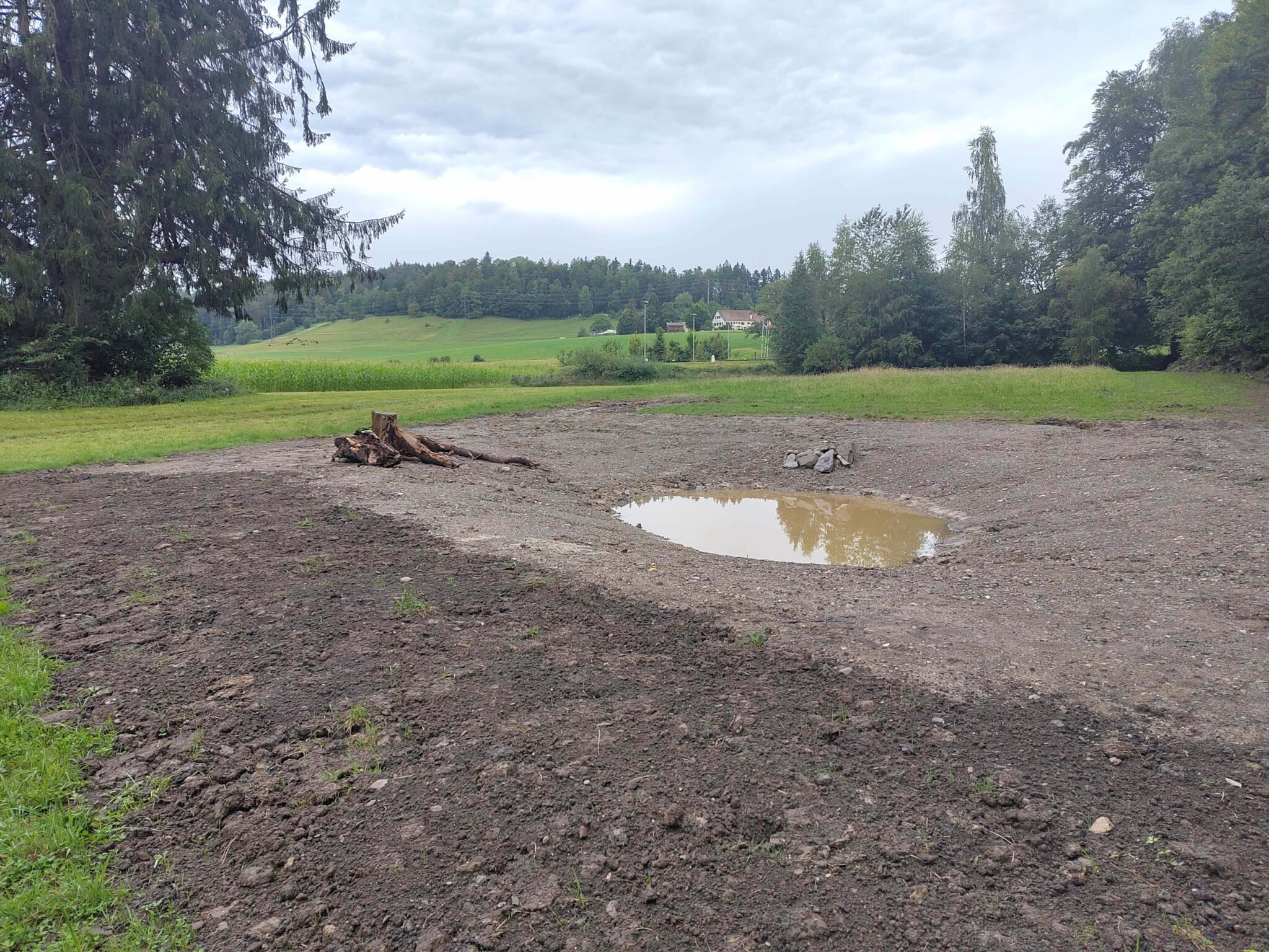 Weiherr fertiggestelt ohne Wasser_web