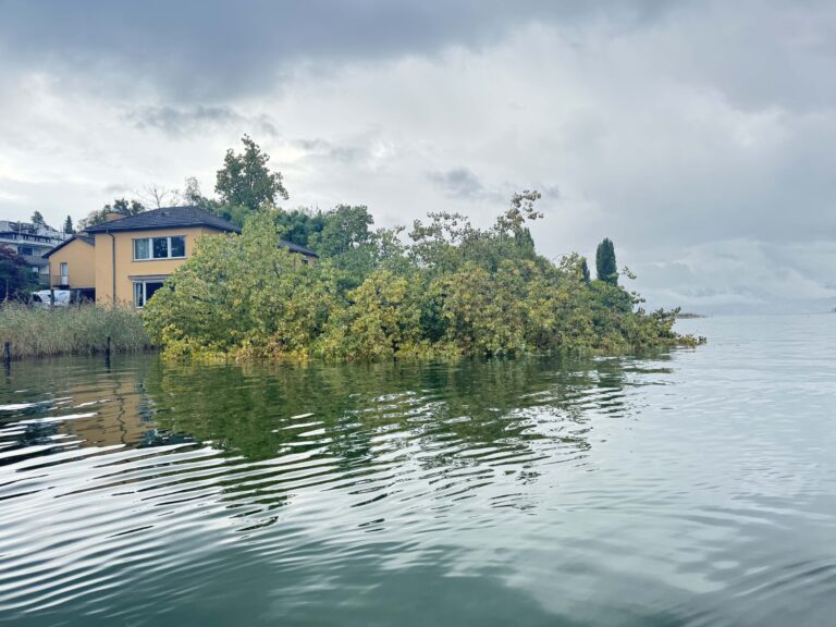 Raubaum im Wasser_web