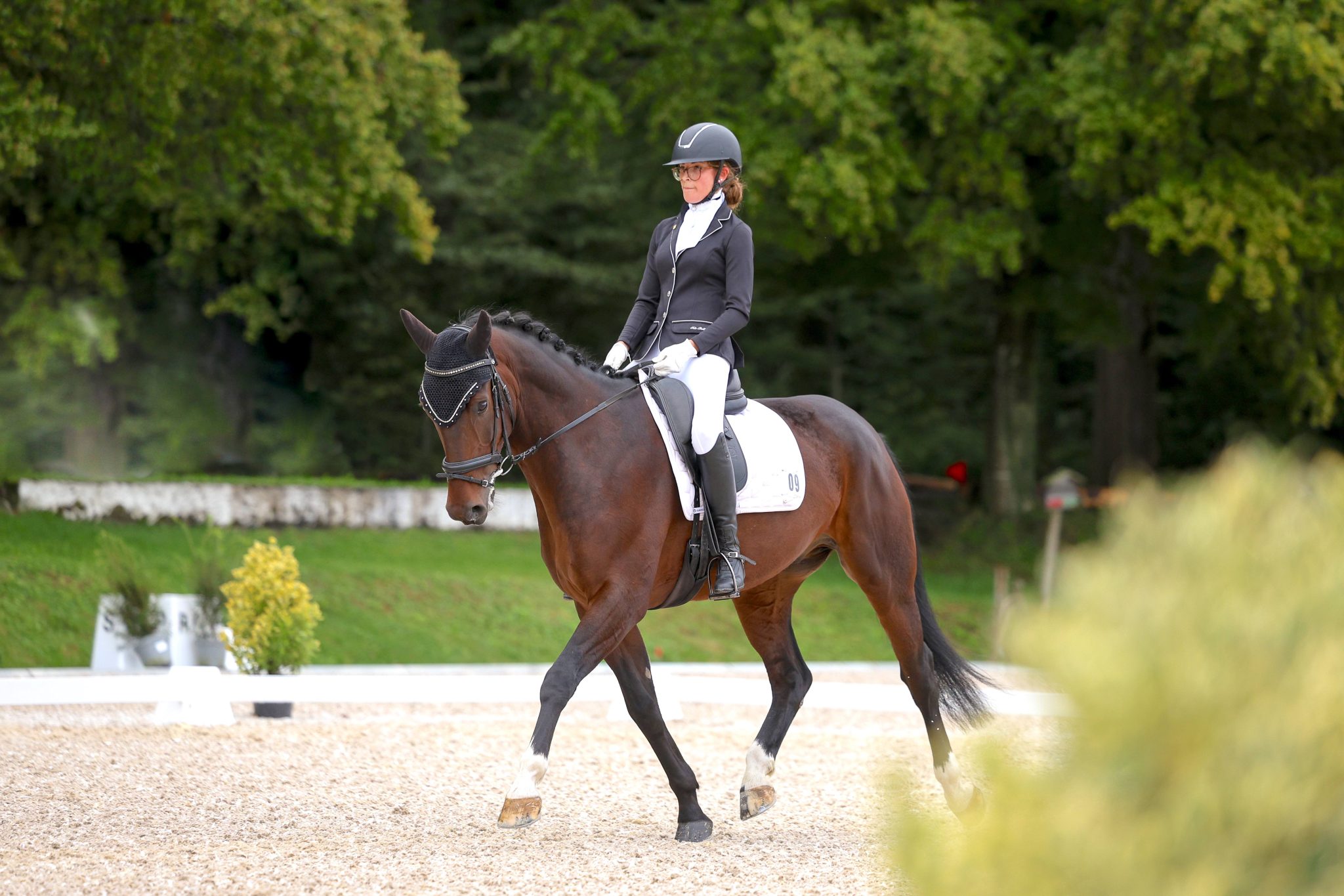 Reitverein_Dressurtage_zvg_web