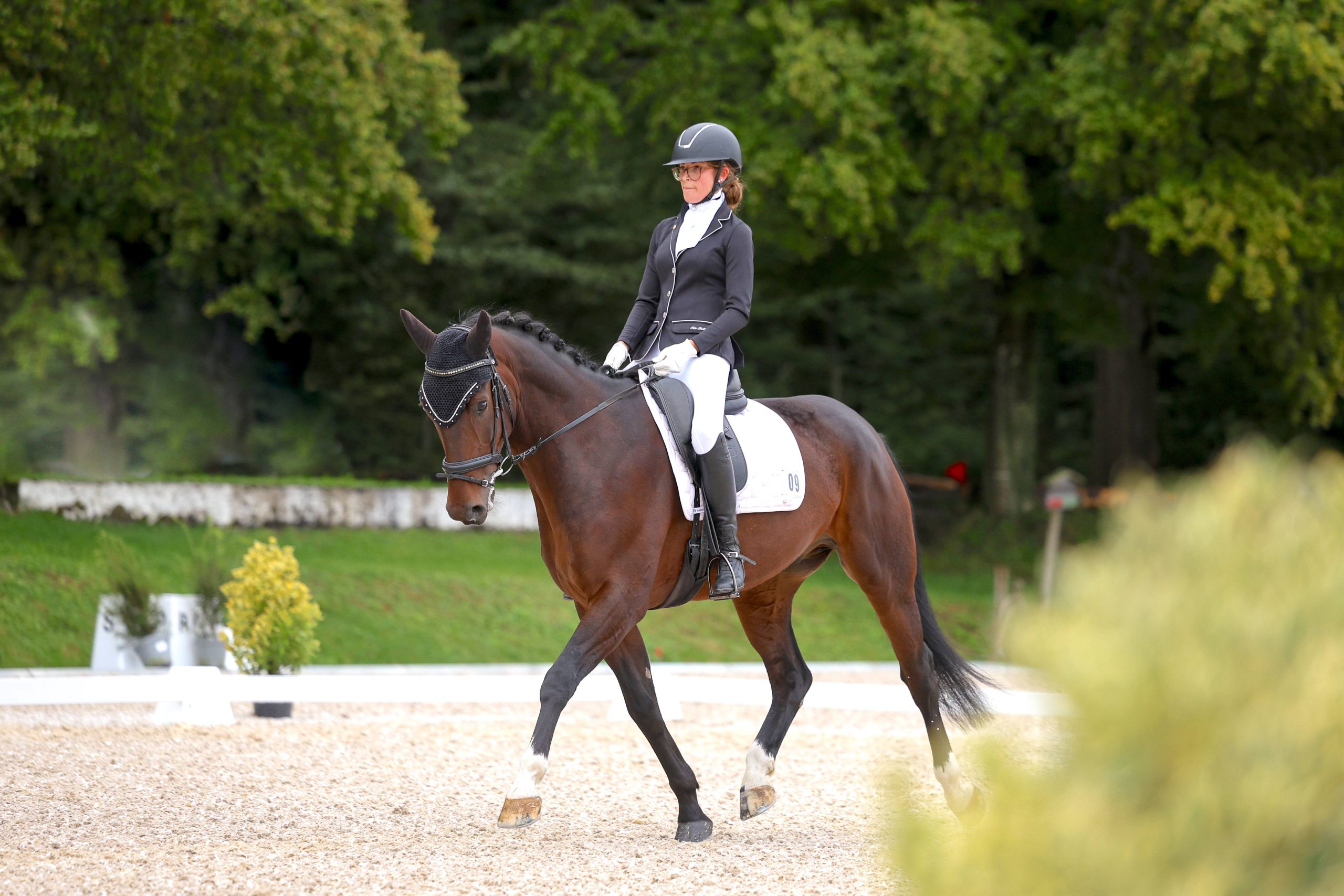 Dressurprüfungen des Reitvereins Zürichsee Rechtes Ufer