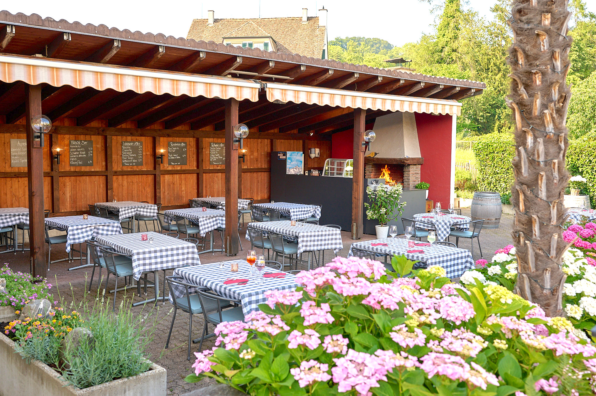 Alte Sonne Garten_web