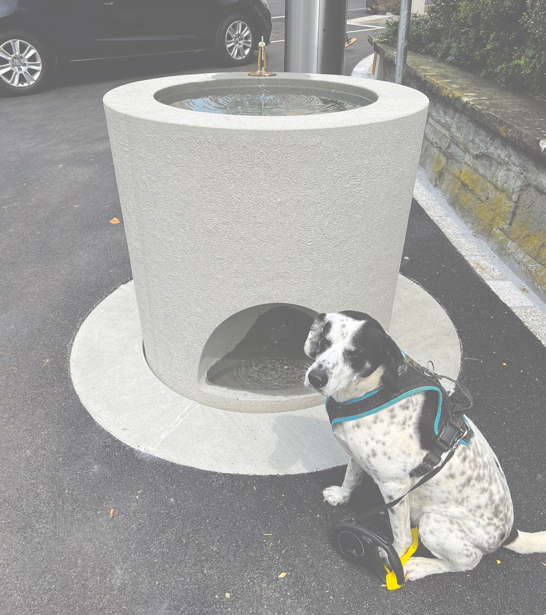 BdW_Maya Weck_Brunnen mit Lucy