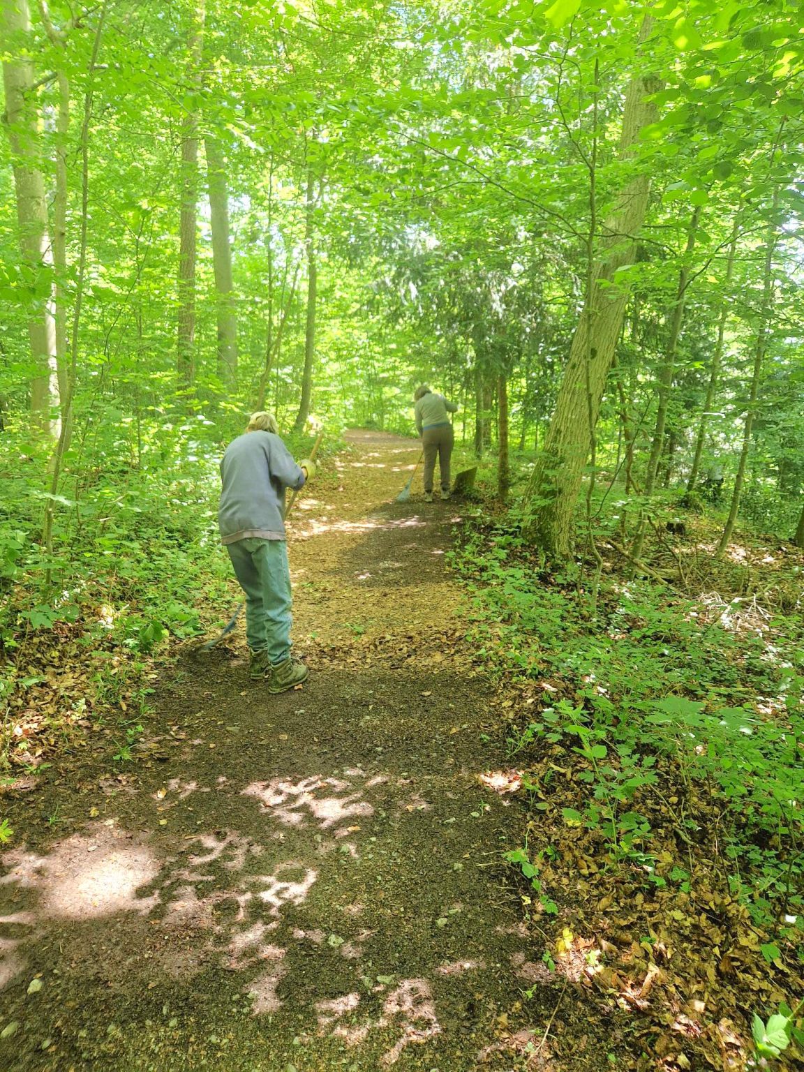 Die Wege im Wald wurden vom Laub befreit.
