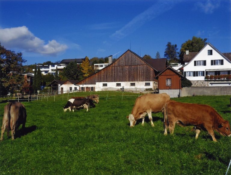 Trünggelerhof, 60er Jahre, 11386-0-9_001_web
