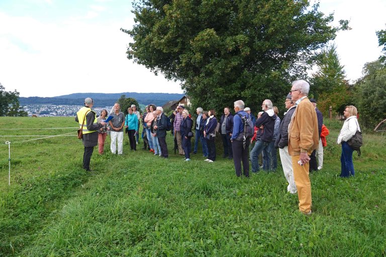 Gruppe auf Wiese_DSC05329_web
