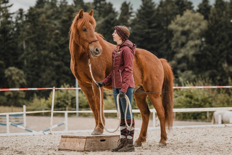 Horse Challenge-31_web