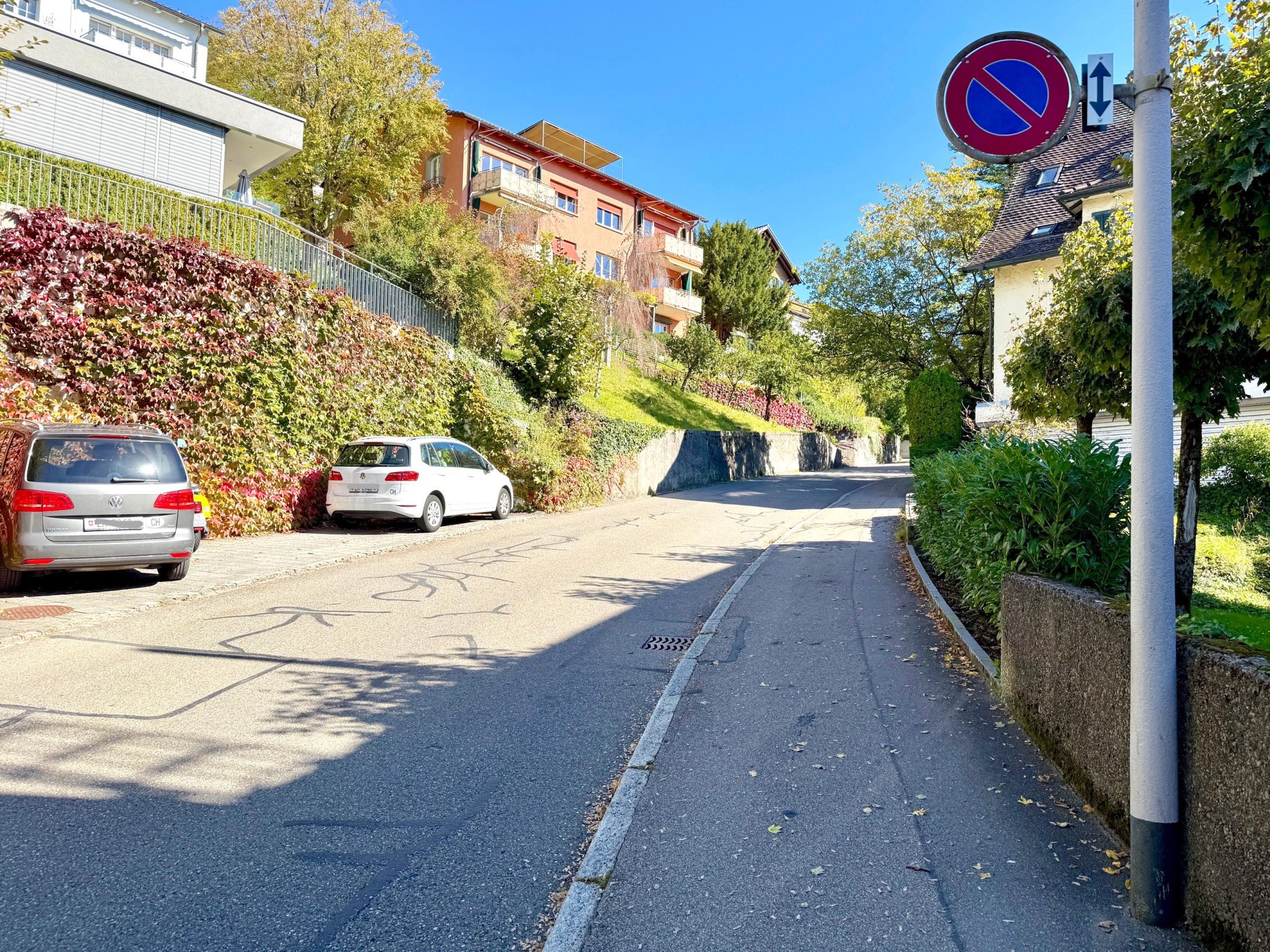 Pfannenstielstrasse_web
