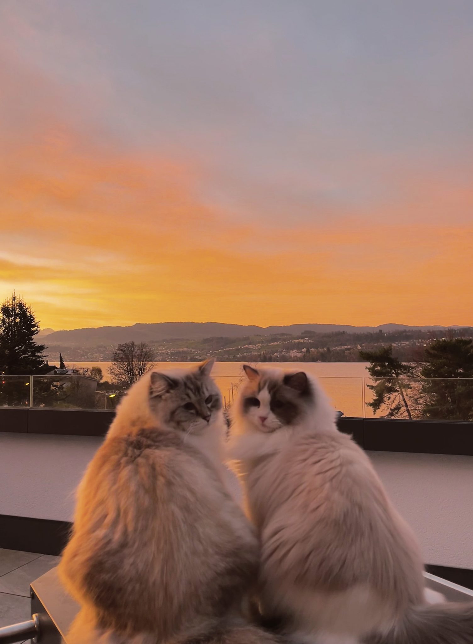 BdW_Grob Büsis im Morgenrot_optisch-gerade_web