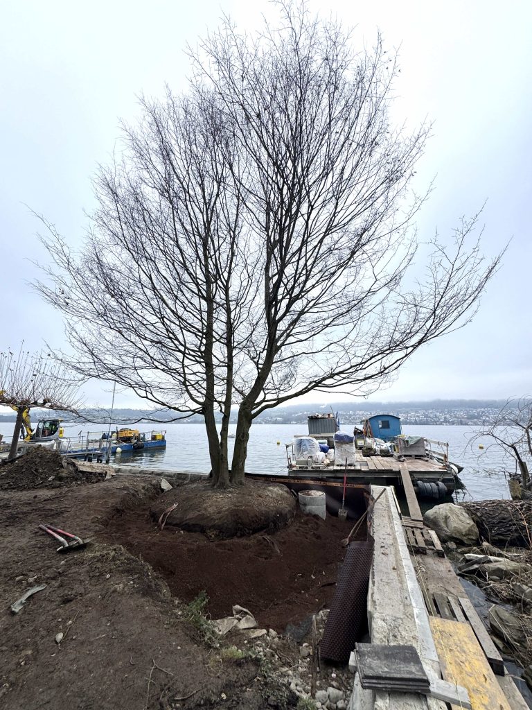 20251204_104048594_iOS_web