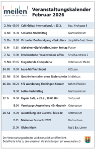 Gmd-Meilen_Ins_VK-Februar26_05_26_web