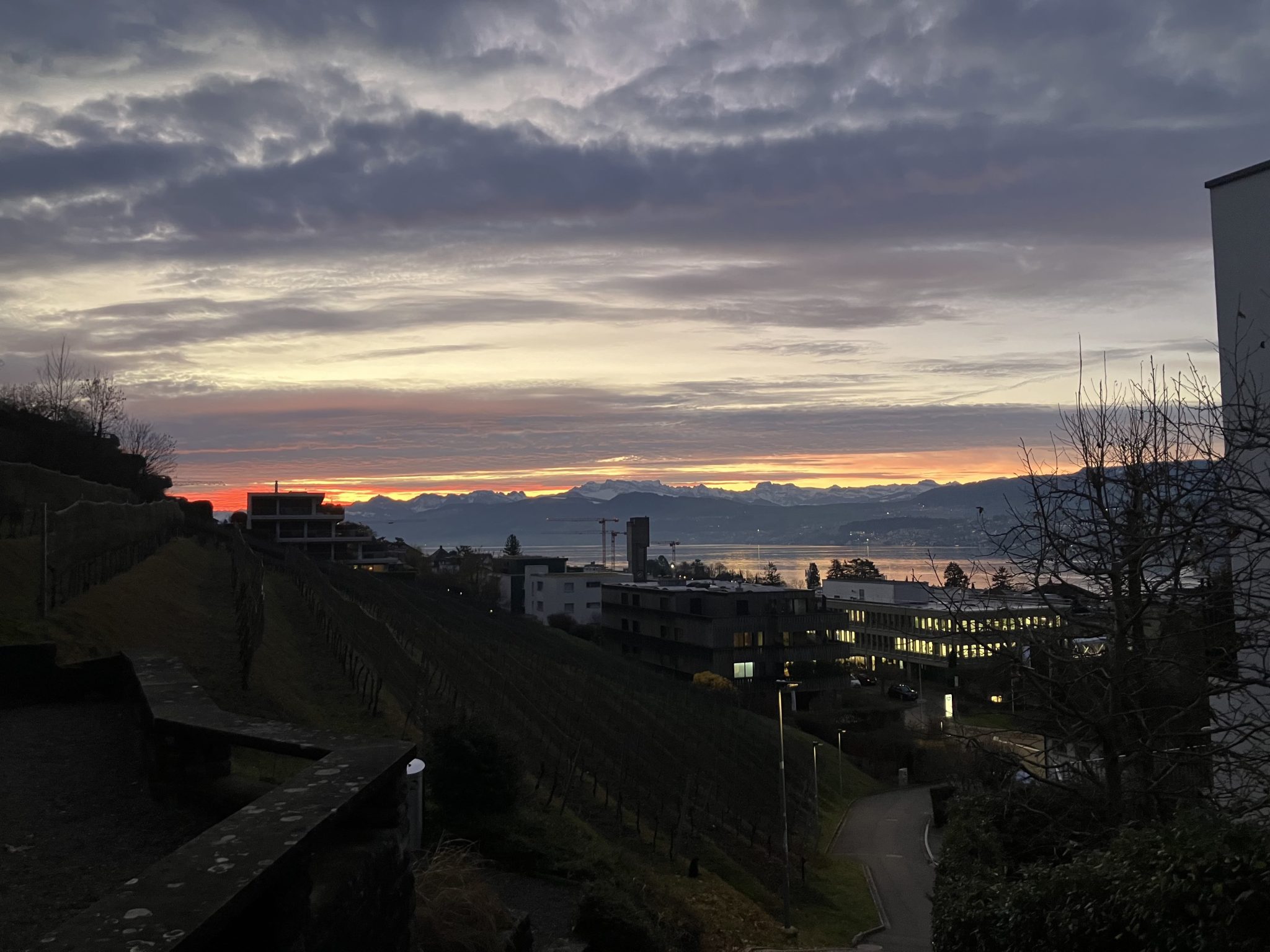 BdW_Janos Sarkany_web