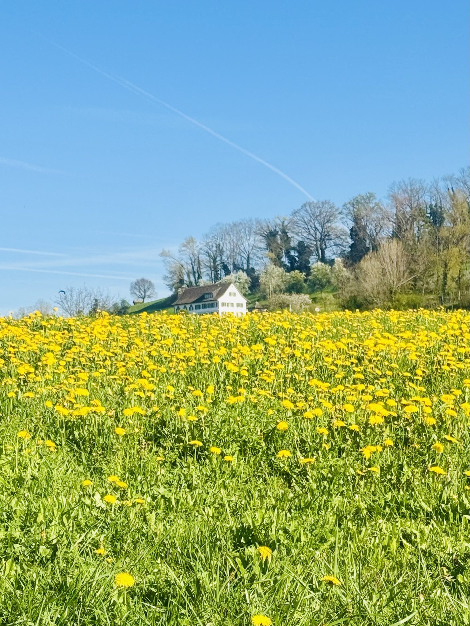 BdW_Fiona_Chrottepösche_web