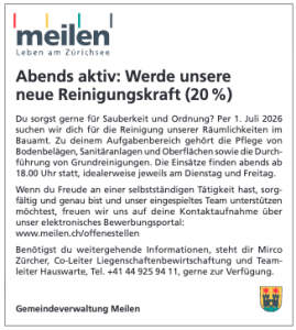 Gmd-Meilen_Ins_Reinigungskraft_15_26_web