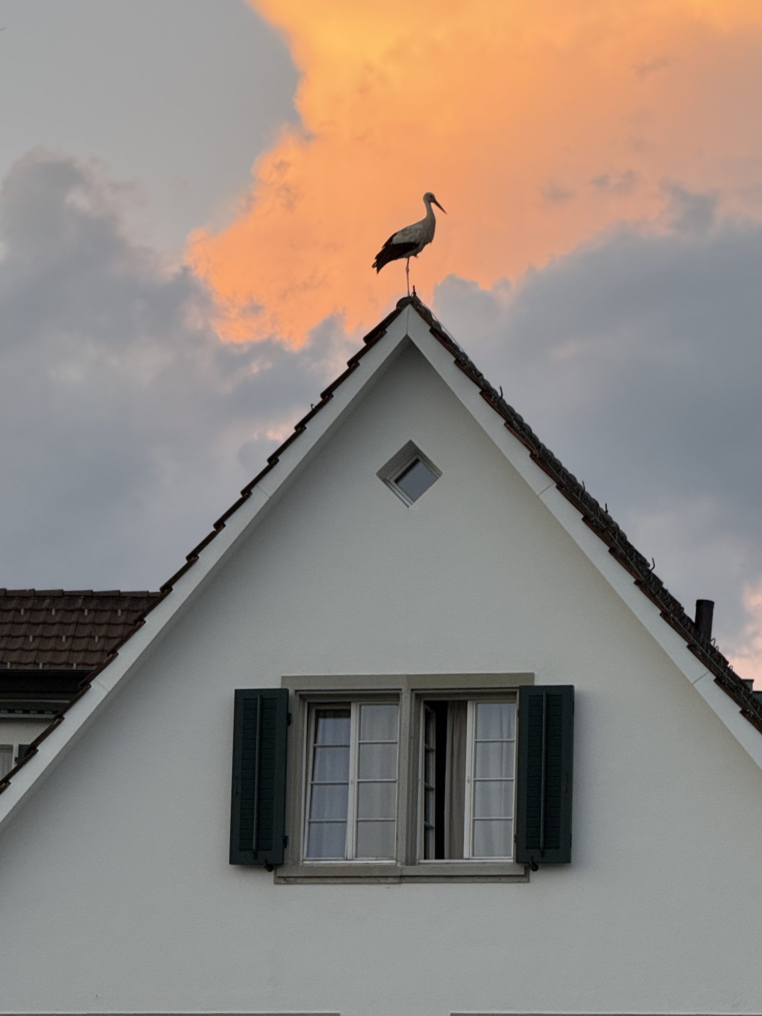 BdW_Behrens_IMG_2157_web