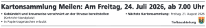 Gmd-Meilen_Ins_Kartonsammlung_28_26_web
