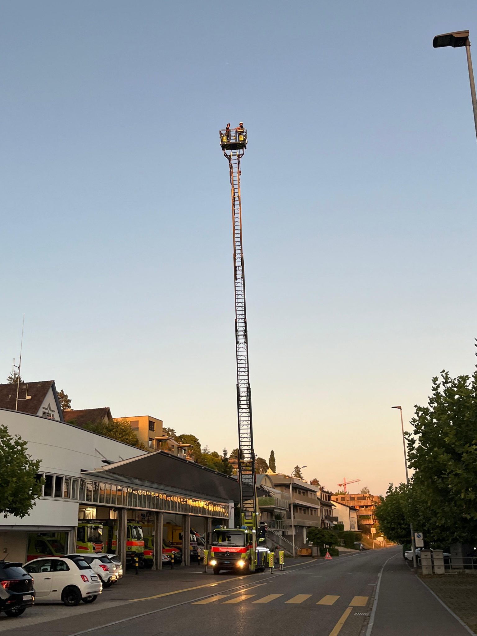 bdw_friedli