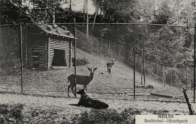 e Tierpark um 1910_web