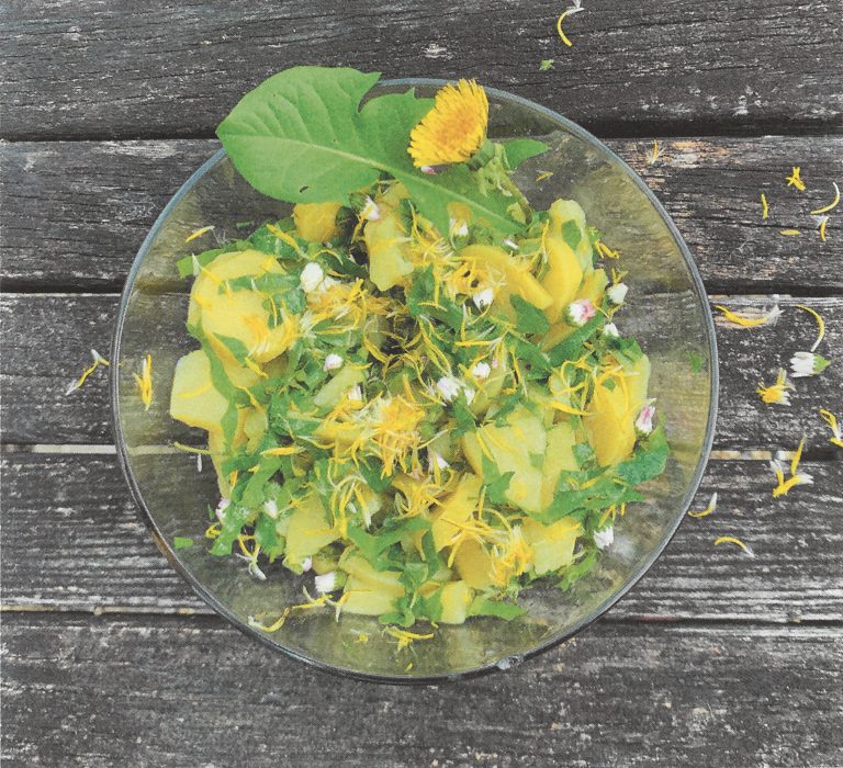Rezept_38_26_web